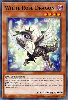 Dragon Rose Blanche