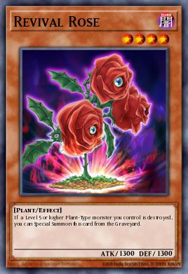Rose de Résurrection
