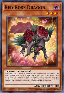 Dragon Rose Rouge