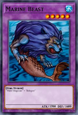 Animal marin