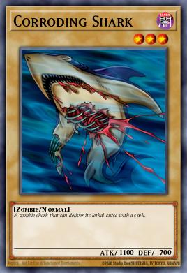 Requin Putride