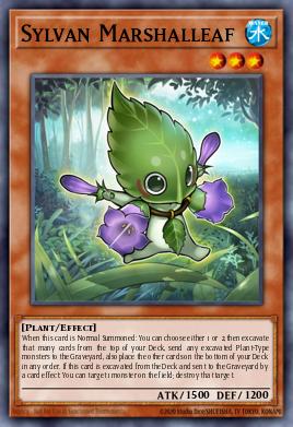 Maréchafeuille Sylvan