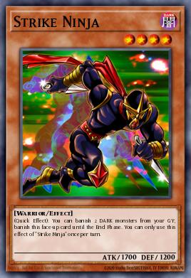 Ninja d'Intervention