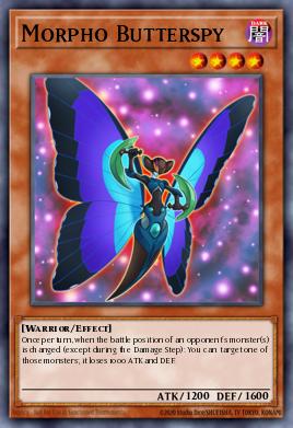 Espillon Morpho
