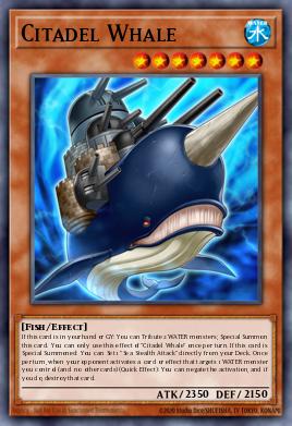 Baleine Citadelle