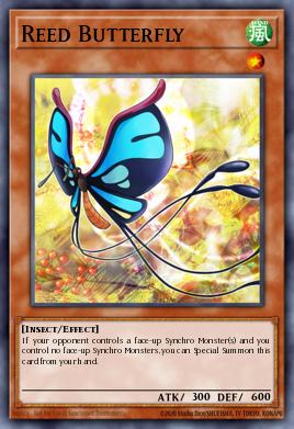 Papillon Captivant