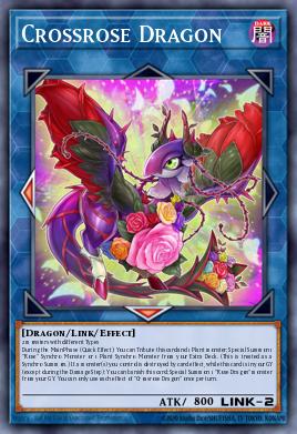 Dragon Rose Croisée
