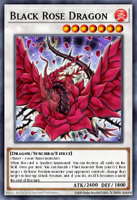 Dragon Rose Noire