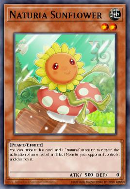 Tournesol Naturia