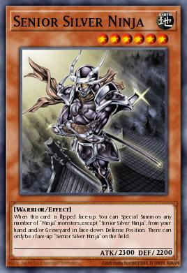 Ninja Argent Émérite